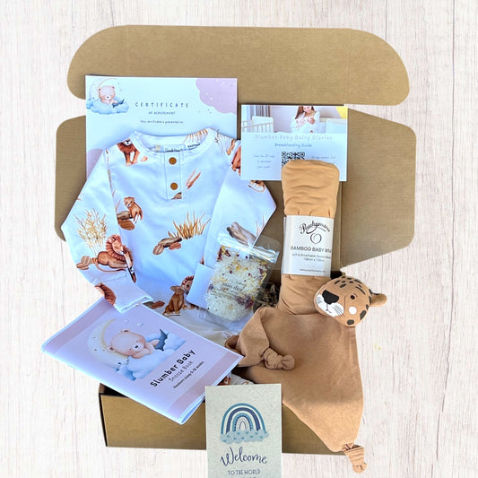 The Little Lion Newborn Gift Box- Back in stock soon- email to pre- order! 🎁