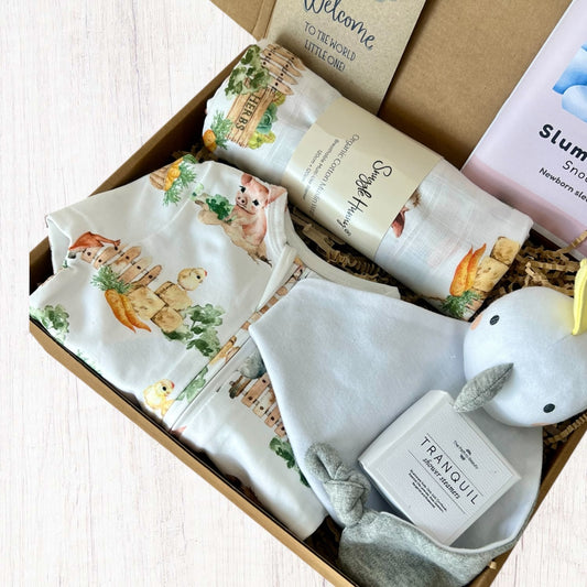 Barnyard Snuggles Newborn Gift Box